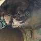 Image for article titled This Seemingly Beautiful Jeep Cherokee Is A Nightmare Example Of Why Mandatory Safety Inspections Make Sense